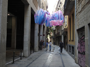 Temps de Flors 2018. Muntatges, instal·lacions i exposicions florals a diversos indrets