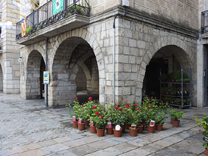 Temps de Flors 2018. Muntatges, instal·lacions i exposicions florals a diversos indrets