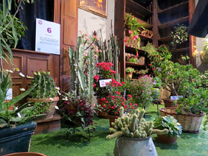 Temps de Flors 2018. Muntatges i instal·lacions florals als diversos espais de l'Església dels Dolors