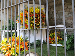 Temps de Flors 2018. Instal&middot;lacions i muntatges florals als diversos espais del carrer Ferran el cat&ograve;lic