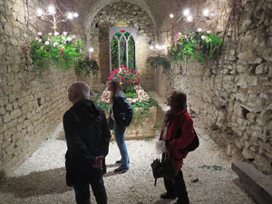 Temps de Flors 2018. Instal·lació floral El cor menjat al soterrani II de la Torre Gironella