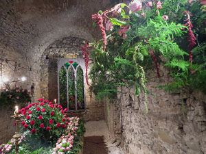 Temps de Flors 2018. Instal·lació floral El cor menjat al soterrani II de la Torre Gironella