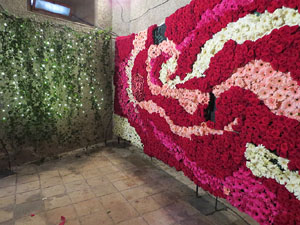 Temps de Flors 2018. Muntatges florals als Jardins del Campaner