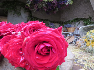 Temps de Flors 2018. Muntatges florals als Jardins del Campaner