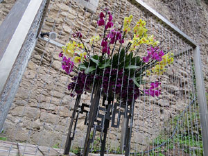 Temps de Flors 2018. Muntatges florals als Jardins del Campaner