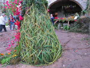 Temps de Flors 2018. Muntatges florals als Jardins del Campaner