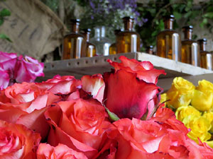 Temps de Flors 2018. Muntatges florals als Jardins del Campaner