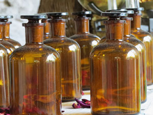 Temps de Flors 2018. Muntatges florals als Jardins del Campaner