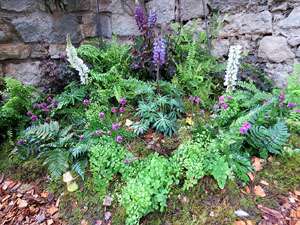 Temps de Flors 2018. Instal&middot;lacions i muntatges florals als Jardins de la Francesa, a tocar els absis de la Catedral