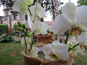 Temps de Flors 2018. Instal&middot;lacions i muntatges florals als Jardins de la Francesa, a tocar els absis de la Catedral