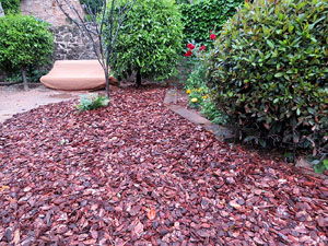 Temps de Flors 2018. Instal&middot;lacions i muntatges florals als Jardins de la Francesa, a tocar els absis de la Catedral