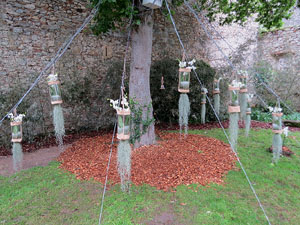 Temps de Flors 2018. Instal&middot;lacions i muntatges florals als Jardins de la Francesa, a tocar els absis de la Catedral