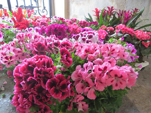 Temps de Flors 2018. Making of de l'esdeveniment