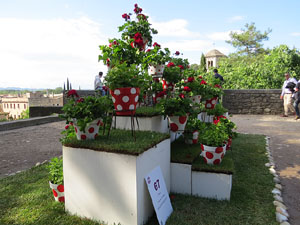 Temps de Flors 2018. Instal&middot;lacions i decoracions florals als diversos espais del Passeig Arqueol&ograve;gic