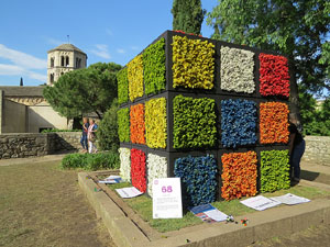 Temps de Flors 2018. Instal&middot;lacions i decoracions florals als diversos espais del Passeig Arqueol&ograve;gic