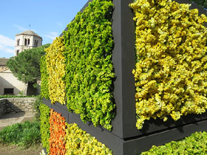 Temps de Flors 2018. Instal&middot;lacions i decoracions florals als diversos espais del Passeig Arqueol&ograve;gic