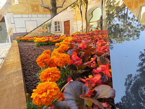 Temps de Flors 2018. Decoraci&oacute; floral del Pati de les Magn&ograve;lies, a la Seu del Govern de la Generalitat de Catalunya a Girona