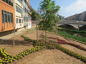 Temps de Flors 2018. Instal&middot;laci&oacute; floral a la pla&ccedil;a Catalunya