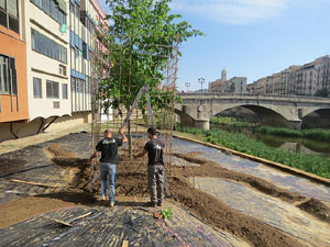 Temps de Flors 2018. Instal&middot;laci&oacute; floral a la pla&ccedil;a Catalunya