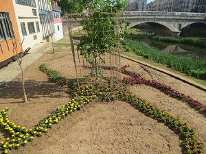Temps de Flors 2018. Instal&middot;laci&oacute; floral a la pla&ccedil;a Catalunya