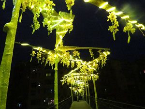 Temps de Flors 2018. Instal·lació Camí a la llibertat al pont d'en Gómez
