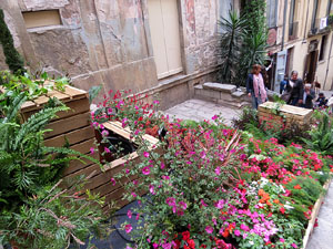 Temps de Flors 2018. Instal&middot;lacions i muntatges a la Pujada de Sant Dom&egrave;nec