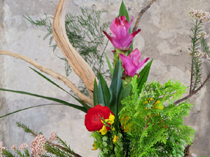 Temps de Flors 2018. Decoracions orientals al primer pis de l'edifici de les Sarra&iuml;nes