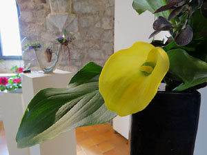 Temps de Flors 2018. Decoracions orientals al primer pis de l'edifici de les Sarra&iuml;nes