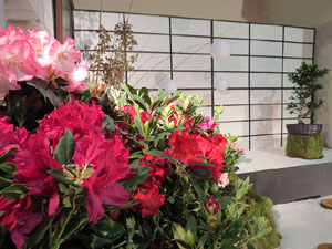 Temps de Flors 2018. Muntatges i instal&middot;lacions florals a l'Esgl&eacute;sia de Sant Mart&iacute; - Antic Seminari