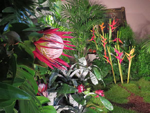 Temps de Flors 2018. Muntatges i instal&middot;lacions florals a l'Esgl&eacute;sia de Sant Mart&iacute; - Antic Seminari