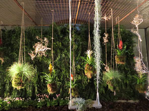 Temps de Flors 2018. Muntatges i instal&middot;lacions florals a l'Esgl&eacute;sia de Sant Mart&iacute; - Antic Seminari