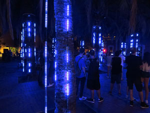 Festival Temps d'Art. Espectacle Clúster al Parc Central de Girona