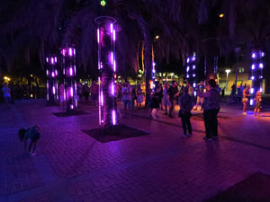 Festival Temps d'Art. Espectacle Clúster al Parc Central de Girona