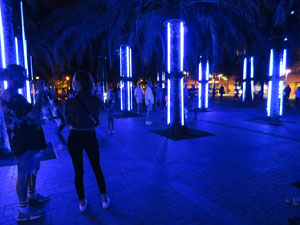 Festival Temps d'Art. Espectacle Clúster al Parc Central de Girona