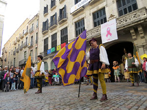 Fires de Sant Narc&iacute;s 2018. Toc de rams. Canvi dels rams de flors de les gegantes de Girona. Els banderers