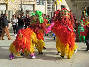 Celebraci&oacute; de l'any nou xin&egrave;s, el 4717, any del Porc, a Girona