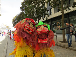 Celebraci&oacute; de l'any nou xin&egrave;s, el 4717, any del Porc, a Girona