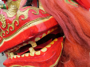 Celebraci&oacute; de l'any nou xin&egrave;s, el 4717, any del Porc, a Girona