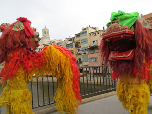 Celebraci&oacute; de l'any nou xin&egrave;s, el 4717, any del Porc, a Girona