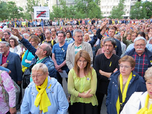 Concentraci&oacute; contra el 155 davant la subdelegaci&oacute; dels govern espanyol a la Gran Via de Jaume I