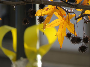 Enlla&ccedil;ada massiva pels carrers de Girona sota el lema 'No esteu sols'