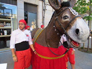 Festes de Primavera de Girona 2019. V Trobada de Mulasses