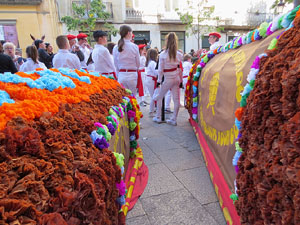 Festes de Primavera de Girona 2019. V Trobada de Mulasses