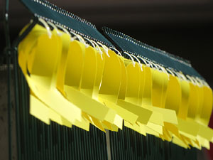 Manifestaci&oacute; contra el judici al proc&eacute;s. Concentraci&oacute; a la pla&ccedil;a de l'U d'octubre de 2017 i manifestaci&oacute; fins els Jutjats de Girona