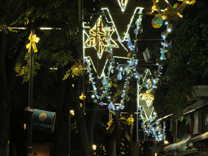 Nadal 2018. La decoraci&oacute; nadalenca dels carrers