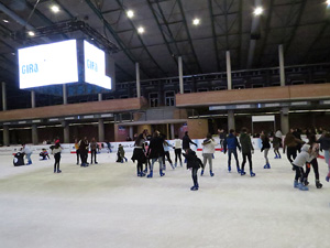 Nadal 2018. Pista de gel i tobogan a Fira de Girona