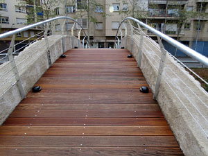 El pont del Dimoni de Santa Eugènia de Ter. Visita de final d'obra