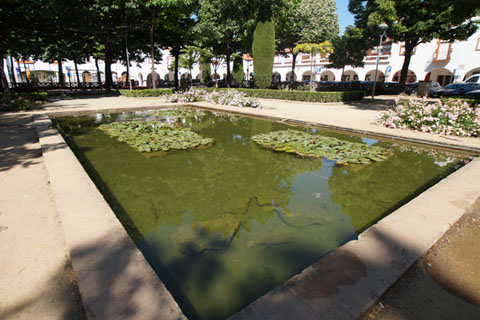 Estany de la plaça de l'Assumpció