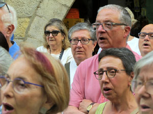 Concentració a la plaça del Vi per la independència i la llibertat dels presos polítics