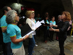 Diada Nacional 2019. Concentraci&oacute; a la pla&ccedil;a del Vi, lectura del manifest i cant de Els Segadors